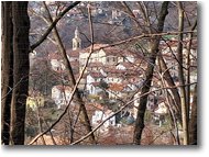 Fotografie Savignone - Paesi - Savignone,veduta dal bosco