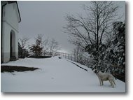 Foto Savignone - Paesi - Un' altra visita a M. Maggio innevato