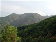  Agosto 2003: siccità nei boschi - Savignone - 2003 - Panorami - Estate - Voto: 7    - Last Visit: 3/8/2022 0.26.14 