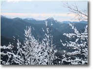 Fotografie Savignone - Panorami - Alpe Sisa: prospettiva conica	