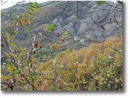 Foto Savignone - Panorami - Ancora ruderi del Castello Fieschi di Savignone incorniciati dai tenui colori autunnali