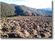 Fotografie Savignone - Panorami - Aratura alla frazione Vittoria