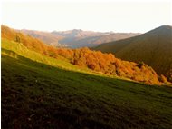  Autunno dal Monte Cappellino - Savignone - 2016 - Panorami - Estate - Voto: Non  - Last Visit: 24/8/2022 19.10.44 