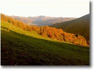 Foto Savignone - Panorami - Autunno dal Monte Cappellino