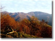 Foto Savignone - Panorami - Boschi di Savignone