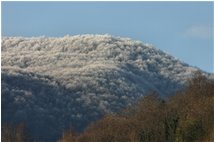  Brinata sul Monte Vittoria - Savignone - 2009 - Panorami - Inverno - Voto: Non  - Last Visit: 29/9/2023 10.28.2 