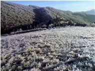  Capodanno 2009 al santuario Vittoria: inizio era glaciale (Nokia 70) - Savignone - 2009 - Panorami - Inverno - Voto: Non  - Last Visit: 29/9/2023 12.5.1 