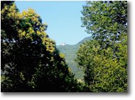 Foto Savignone - Panorami - Colonia M. Maggio: icona paesaggistica della zona e di architettura del ‘900