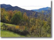 Foto Savignone - Panorami - Colori autunnali con sfondo Mar Ligure