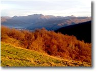 Foto Savignone - Panorami - Colori di fine autunno dal M. Cappellino