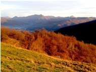  Colori di fine autunno dal M. Cappellino - Savignone - 2020 - Panorami - Inverno - Voto: Non  - Last Visit: 24/9/2023 19.35.57 
