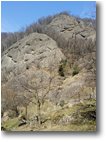 Fotografie Savignone - Panorami - Conglomerato di Savignone	