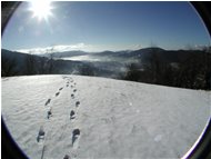  Controluce invernale con neve - Savignone - 2003 - Panorami - Inverno - Voto: Non  - Last Visit: 12/11/2023 6.28.45 