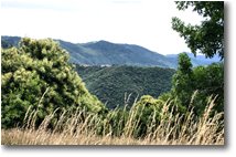 Foto Savignone - Panorami - Costa di Orero