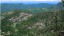  Dal M. Maggio alle Alpi - Savignone - 2014 - Panorami - Estate - Voto: Non  - Last Visit: 29/9/2023 14.45.35 