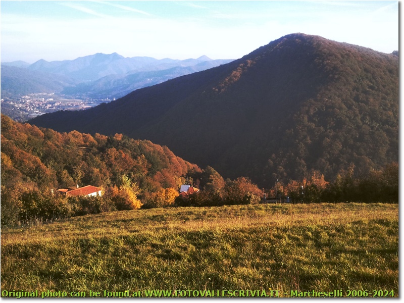 Dalle pendici del Monte Cappellino - Savignone - 2011 - Panorami - Inverno - Canon Ixus 980 IS