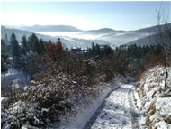  Debole nevicata su Savignone - Savignone - 2003 - Panorami - Inverno - Voto: 10   - Last Visit: 16/10/2021 17.6.11 