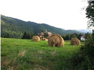  Estate alla Vittoria - Savignone - 2019 - Panorami - Estate - Voto: Non  - Last Visit: 25/5/2024 9.25.26 