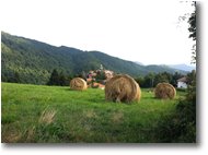 Fotografie Savignone - Panorami - Estate alla Vittoria