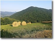 Foto Savignone - Panorami - Estate sul Monte Cappellino