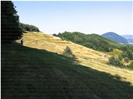  Estate sul Monte Cappellino - Savignone - 2015 - Panorami - Estate - Voto: Non  - Last Visit: 26/1/2023 22.15.57 