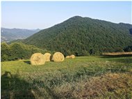  Estate sul Monte Cappellino - Savignone - 2015 - Panorami - Estate - Voto: Non  - Last Visit: 28/8/2022 21.23.0 