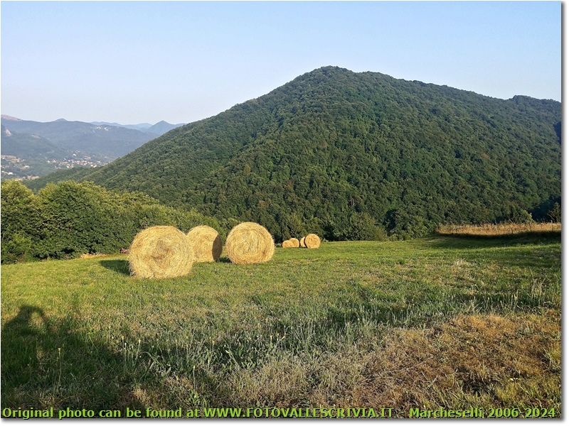 Estate sul Monte Cappellino - Savignone - 2015 - Panorami - Estate - Canon Ixus 980 IS