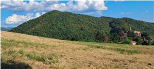  Fienagione pendici Monte Capellino - Savignone - 2022 - Panorami - Estate - Voto: 10   - Last Visit: 25/5/2024 8.44.56 