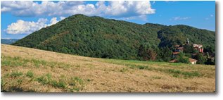 Fotografie Savignone - Panorami - Fienagione pendici Monte Capellino