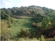  Fieno sul Monte Albarino - Savignone - <2001 - Panorami - Estate - Voto: Non  - Last Visit: 24/9/2023 18.17.34 