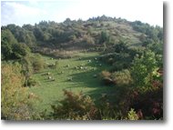 Foto Savignone - Panorami - Fieno sul Monte Albarino