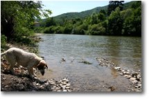 Foto Savignone - Panorami - Fiume Scrivia a San Bartolomeo