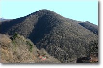 Foto Savignone - Panorami - Il monte Fuea