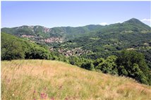  La Valle Scrivia a Savignone - Savignone - 2007 - Panorami - Estate - Voto: Non  - Last Visit: 25/5/2024 9.12.33 