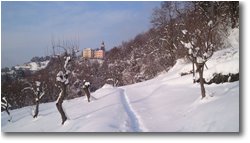 Foto Savignone - Panorami - La Vittoria: il santuario