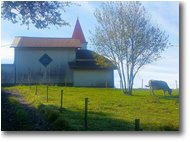 Foto Savignone - Panorami - La cappella di Costalovaia