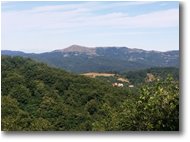 Foto Savignone - Panorami - Monte Alpe del Porale