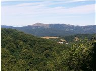  Monte Alpe del Porale - Savignone - 2016 - Panorami - Estate - Voto: Non  - Last Visit: 28/8/2022 21.24.57 