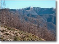 Fotografie Savignone - Panorami - Monte Antola: neve autunnale