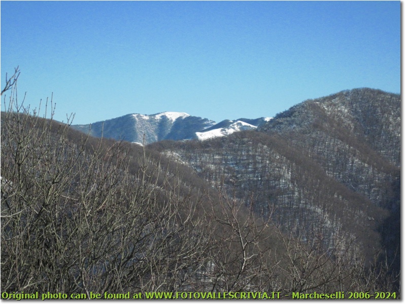 Monte Buio visto dal monte Pianetto - Savignone - 2010 - Panorami - Inverno - Altro/Other