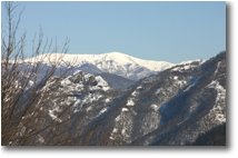 Foto Savignone - Panorami - Monte Ebro con neve