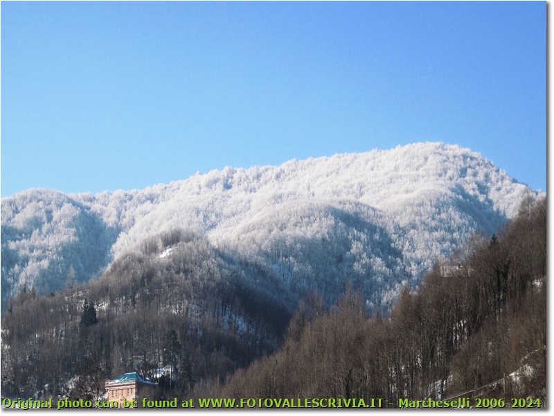 Monte Fuea: ultimi brividi dell inverno - Savignone - 2010 - Panorami - Inverno - Canon EOS 300D