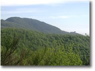 Foto Savignone - Panorami - Monte Maggio e Colonia visti da nord