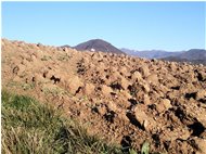  Monte Maggio, oltre le zolle - Savignone - 2013 - Panorami - Inverno - Voto: Non  - Last Visit: 25/4/2024 5.50.11 