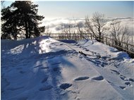  Monte Maggio: sopra le nuvole - Savignone - 2010 - Panorami - Inverno - Voto: Non  - Last Visit: 26/6/2022 17.49.55 