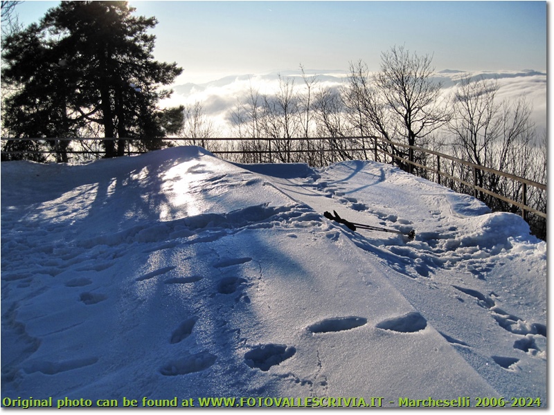 Monte Maggio: sopra le nuvole - Savignone - 2010 - Panorami - Inverno - Canon Ixus 980 IS