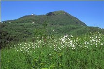  Monte Maggio versione estate - Savignone - 2010 - Panorami - Estate - Voto: Non  - Last Visit: 25/9/2023 17.21.11 