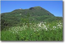 Fotografie Savignone - Panorami - Monte Maggio versione estate