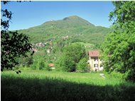  Monte Maggio versione tarda primavera - Savignone - 2010 - Panorami - Estate - Voto: Non  - Last Visit: 11/11/2022 4.49.34 