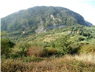  Monte Maggio visto dal M. Albarino - Savignone - <2001 - Panorami - Estate - Voto: Non  - Last Visit: 25/1/2022 19.59.12 